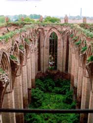 Abb. 12: Grün bewachsene Nikolaikirche, Blick zum Chor - 1993